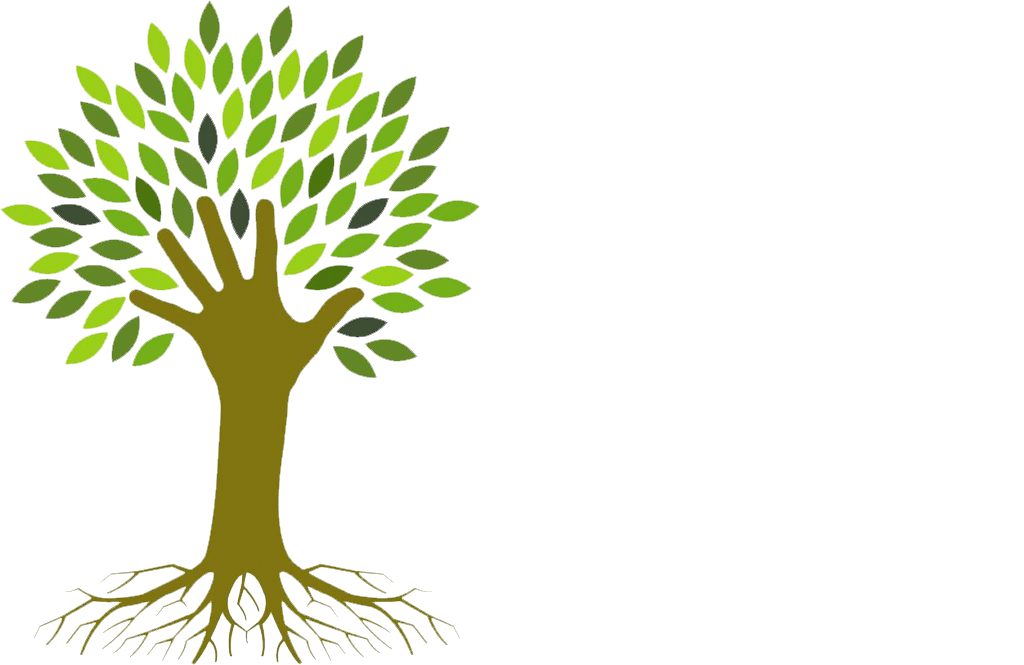 Tuinen Herolds | Tuinarchitect Sint-Truiden